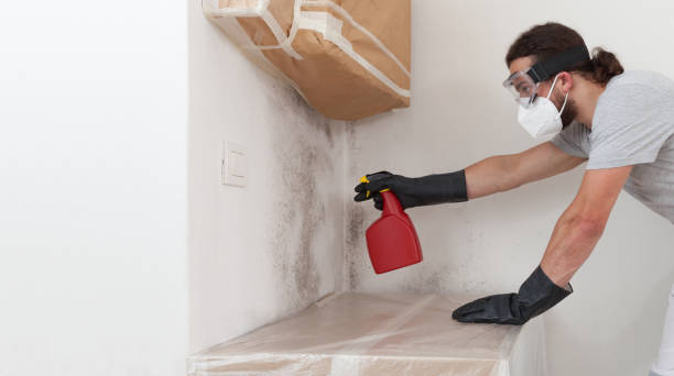 Professional Mold Remediation technician working in New Hyde Park, NY